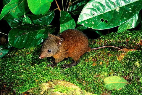 3-Day Small-Group Tour Of North Queensland With Pick Up - Tourism Caloundra 0