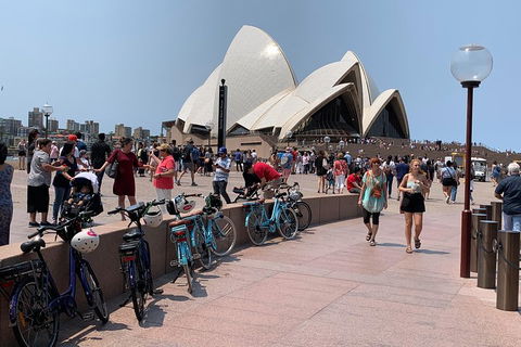 The Big Easy - Tourism Caloundra 4