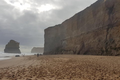 Private Express Experience - 12 Apostles - Tourism Caloundra 4