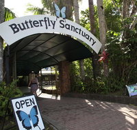 Kuranda Day Trip from Port Douglas upgrade to Skyrail  Scenic train available - Tourism Caloundra