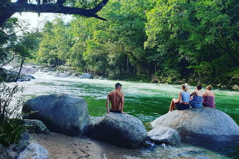 Afternoon Half-Day Daintree Rainforest And River Tour - Tourism Caloundra 0