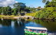 Afternoon Half-Day Daintree Rainforest And River Tour - thumb 1