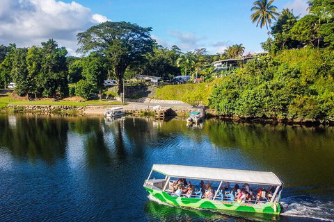 Afternoon Half-Day Daintree Rainforest And River Tour - Tourism Caloundra 1