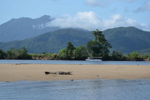 Afternoon Half-Day Daintree Rainforest And River Tour - Tourism Caloundra 2