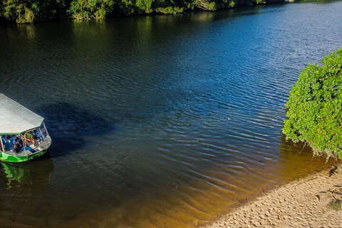 Afternoon Half-Day Daintree Rainforest And River Tour - Tourism Caloundra 3