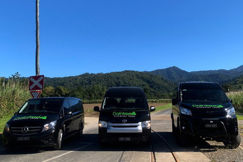 Afternoon Half-Day Daintree Rainforest And River Tour - Tourism Caloundra 4