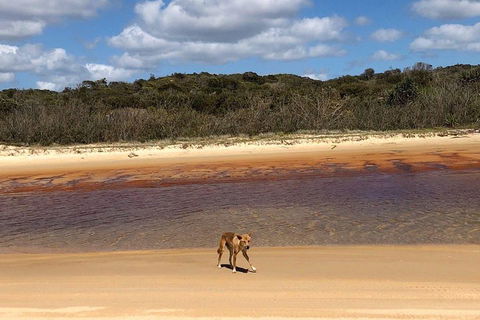 Pippies 3 Days 2 Nights Fraser Island Tour - Tourism Caloundra 2