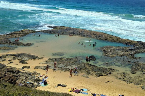 Pippies 3 Days 2 Nights Fraser Island Tour - Tourism Caloundra 5