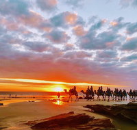 1 Hour Broome Sunset Camel Tour - Tourism Caloundra