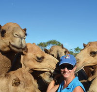 Broome Pre-sunset Camel Tour 30 minutes - Tourism Caloundra