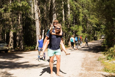 7-Day Best Of Tasmania Adventure Experience From Hobart (flexible Ticket) - Tourism Caloundra 5