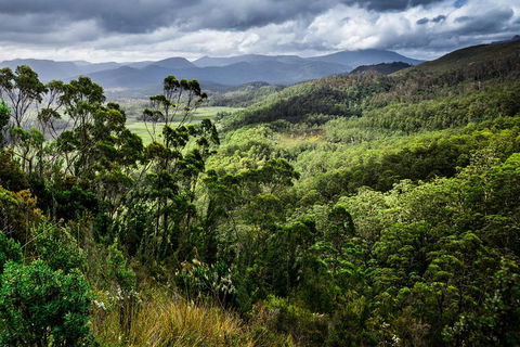 5-Day Lap Of Tasmania Tour From Hobart (flexible Ticket) - Tourism Caloundra 2