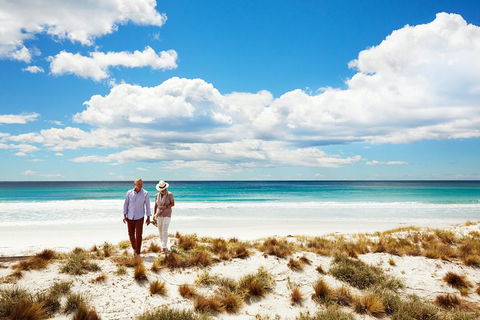 One-Way East Coaster - Tourism Caloundra 4