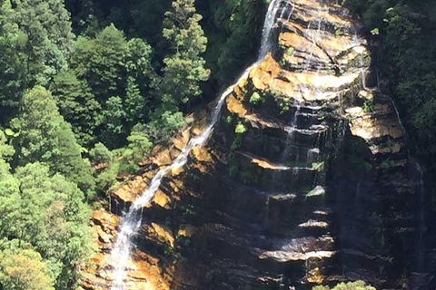 Private Blue Mountains Tour With Kangaroo And Koala Experience - Tourism Caloundra 5