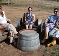 McLaren Vale Intimate Winery Tour by private Limo - Tourism Caloundra