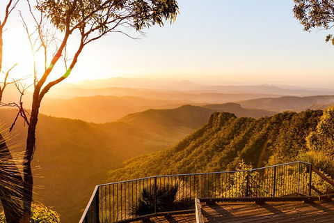 O'Reilly's & Lamington National Park Incl. Alpaca Farm + Vineyard - Tourism Caloundra 0