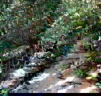 Fraser Island 4WD Tour from Rainbow Beach - Tourism Caloundra