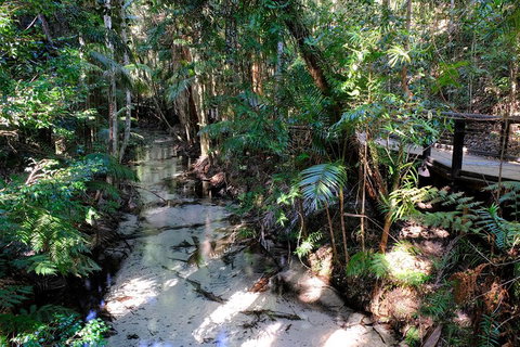 Fraser Island 4WD Tour From Rainbow Beach - Tourism Caloundra 0