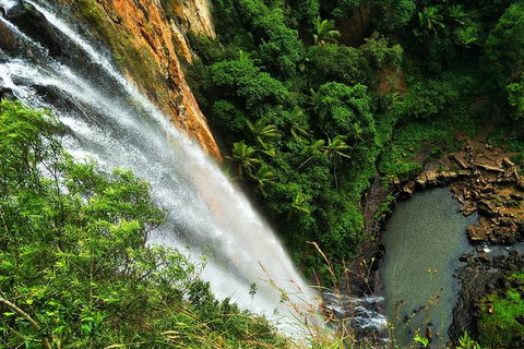 Rainforest & Waterfalls Extravaganza - Tourism Caloundra 1