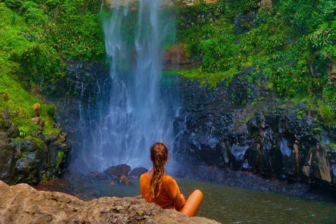 Rainforest & Waterfalls Extravaganza - Tourism Caloundra 2