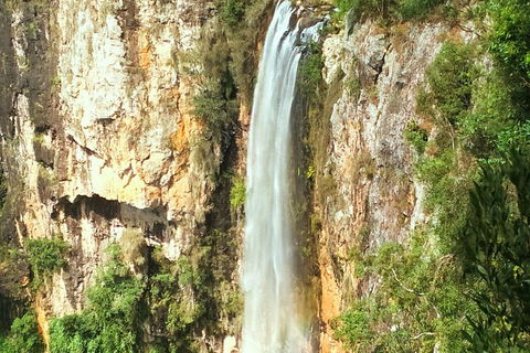Rainforest & Waterfalls Extravaganza - Tourism Caloundra 3