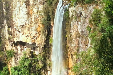 Natural Arch, Rainforest & Volcano Canyon - Private Half Day Tour - Tourism Caloundra 2