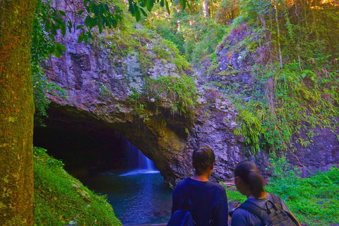 Natural Arch, Rainforest & Volcano Canyon - Private Half Day Tour - Tourism Caloundra 4