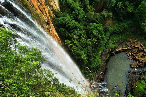 Natural Arch, Rainforest & Volcano Canyon - Private Half Day Tour - Tourism Caloundra 5