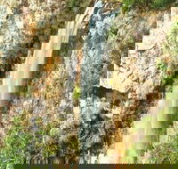 Private Tour - Rainforest  Waterfalls Extravaganza - Tourism Caloundra