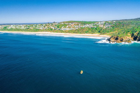 Noosa Oceanrider Scenic Dolphin Safari - Tourism Caloundra 4