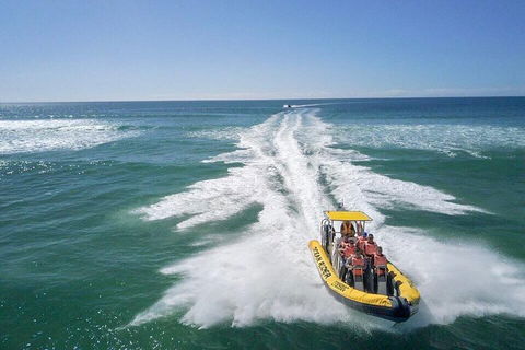 Noosa Oceanrider - Adventure Tour - Tourism Caloundra 2