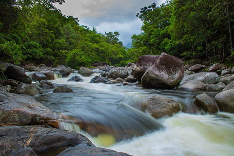Cape Tribulation Day Tour - Tourism Caloundra 0