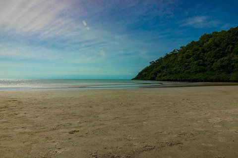 Cape Tribulation Day Tour - Tourism Caloundra 2
