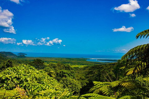 Cape Tribulation Day Tour - Tourism Caloundra 3