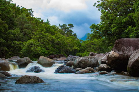 Cape Tribulation Day Tour - Tourism Caloundra 4