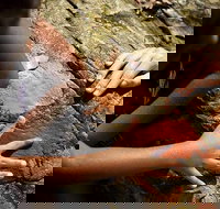 Ngana Julaymba Dungay - Full Day - Tourism Caloundra