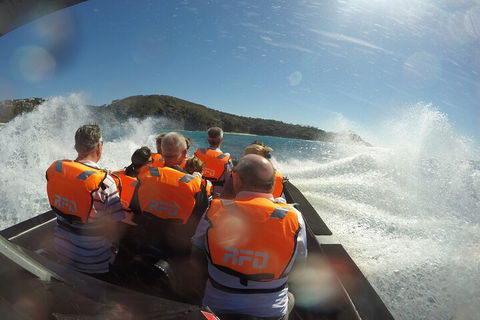Noosa Thriller - 500hp Ocean Adventure Ride - Tourism Caloundra 3