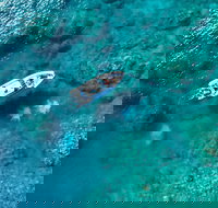 Premium Private Charter - Tourism Caloundra