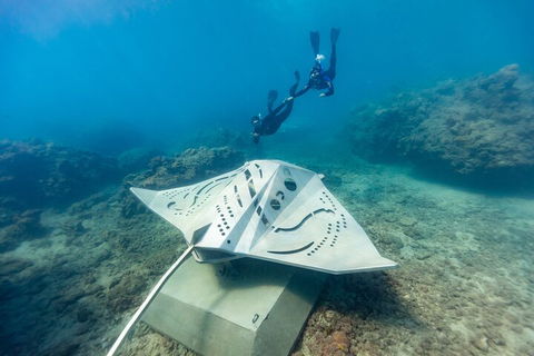 Premium Private Charter - Tourism Caloundra 5