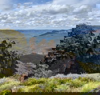 Blue Mountains Private Tour - wild kangaroos waterfalls and The Three Sisters - Tourism Caloundra