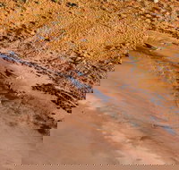 Scenic Flight Lizard Safari - Tourism Caloundra