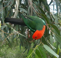 3-Day Private Adelaide to Melbourne tour - Tourism Caloundra