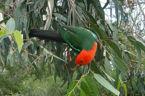 3-Day Private Adelaide To Melbourne Tour - Tourism Caloundra 0