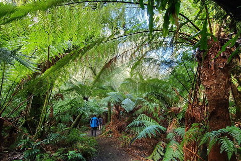 3-Day Adelaide To Melbourne Tour Including The Great Ocean Road - Tourism Caloundra 2