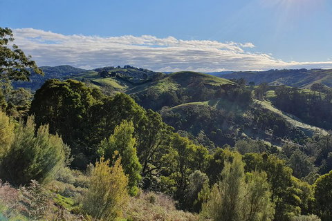 3-Day Adelaide To Melbourne Tour Including The Great Ocean Road - Tourism Caloundra 5