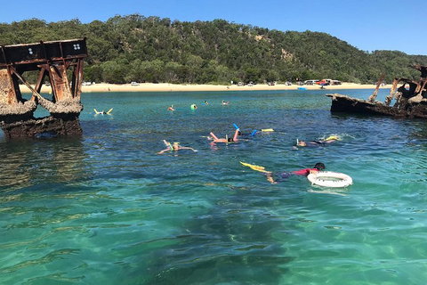 All Inclusive Dolphin And Tangalooma Wrecks Cruise - Tourism Caloundra 0