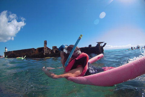 All Inclusive Dolphin And Tangalooma Wrecks Cruise - Tourism Caloundra 2