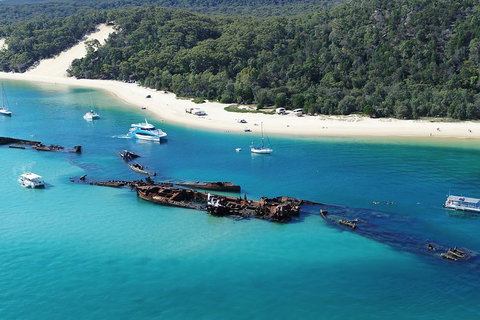 All Inclusive Dolphin And Tangalooma Wrecks Cruise - Tourism Caloundra 4