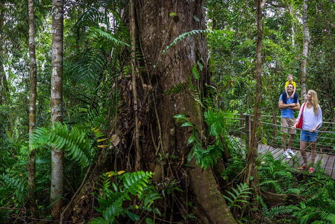 Kuranda Day Tour + HotAir Balloon Combo - Tourism Caloundra 3