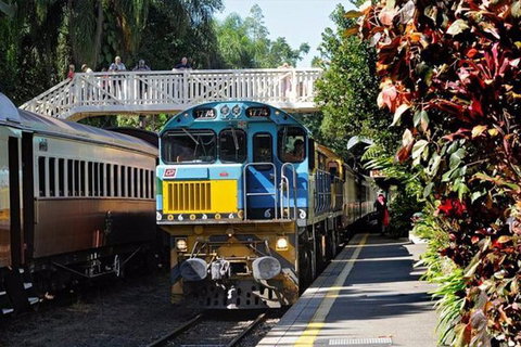 Kuranda Day Tour + HotAir Balloon Combo - Tourism Caloundra 4